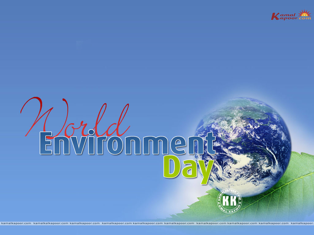 World Environment Day  Wallpaper